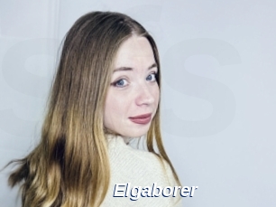 Elgaborer