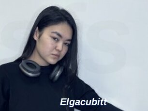 Elgacubitt