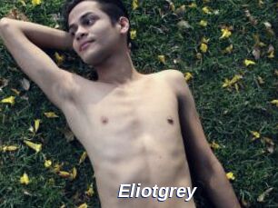 Eliotgrey