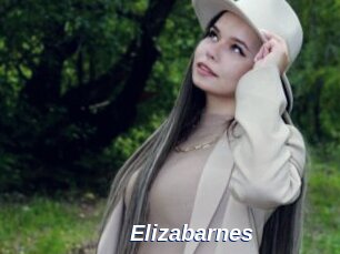Elizabarnes