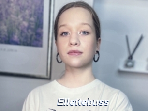 Ellettebuss