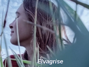 Elvagrise