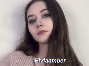 Elviaamber