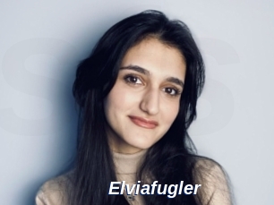 Elviafugler