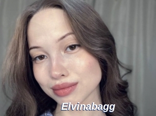 Elvinabagg