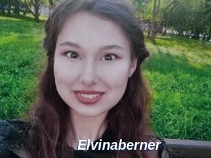 Elvinaberner