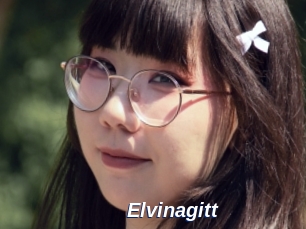 Elvinagitt