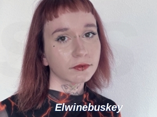 Elwinebuskey