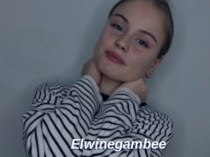 Elwinegambee