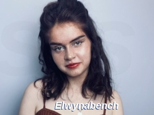 Elwynabench