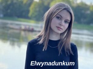Elwynadunkum