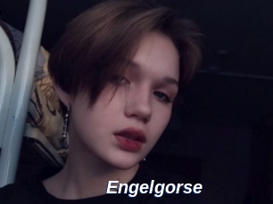 Engelgorse