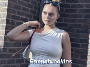 Erlenebrookins