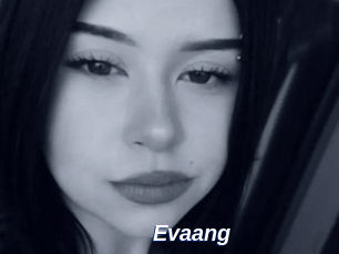 evaang Safer Sex