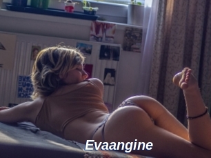 Evaangine