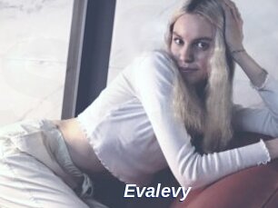Evalevy