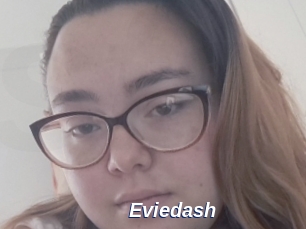 Eviedash