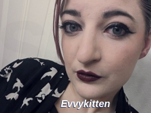 Evvykitten