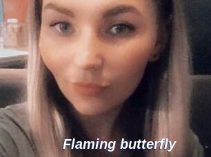 Flaming_butterfly