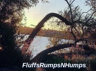 FluffsRumpsNHumps