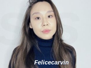 Felicecarvin