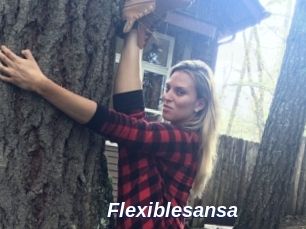 Flexiblesansa