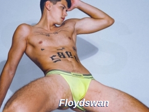 Floydswan