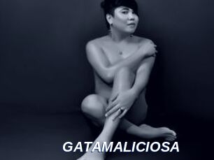 GATAMALICIOSA