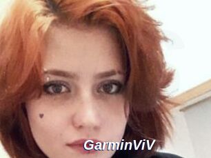 GarminViV