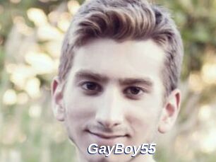 GayBoy55