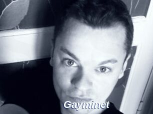 Gayminet