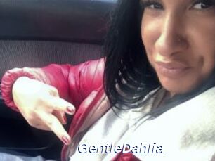 GentleDahlia