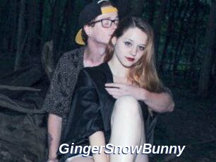GingerSnowBunny