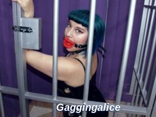 Gaggingalice