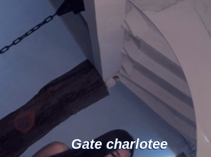 Gate_charlotee