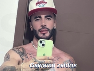 Gawainn_zeldris