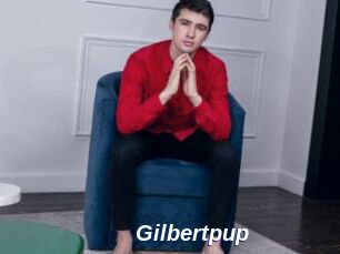 Gilbertpup