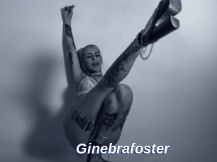 Ginebrafoster