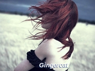 Gingercat
