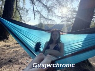 Gingerchronic