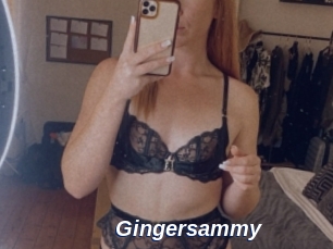 Gingersammy