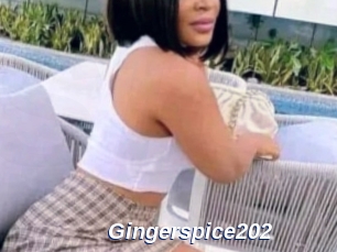 Gingerspice202