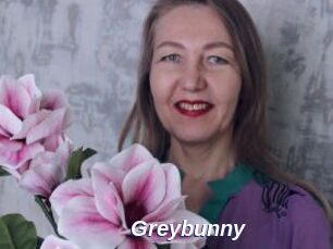 Greybunny