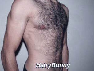 HairyBunny