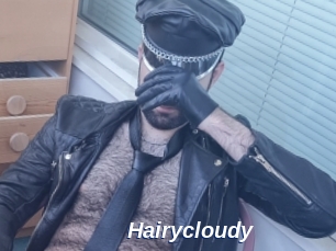 Hairycloudy