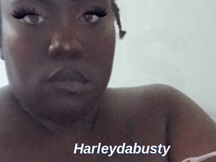 Harleydabusty