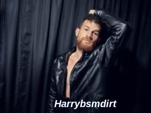 Harrybsmdirt