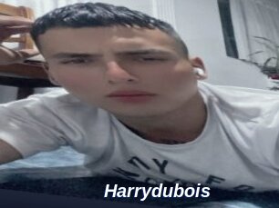 Harrydubois