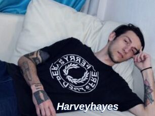 Harveyhayes