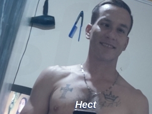 Hect